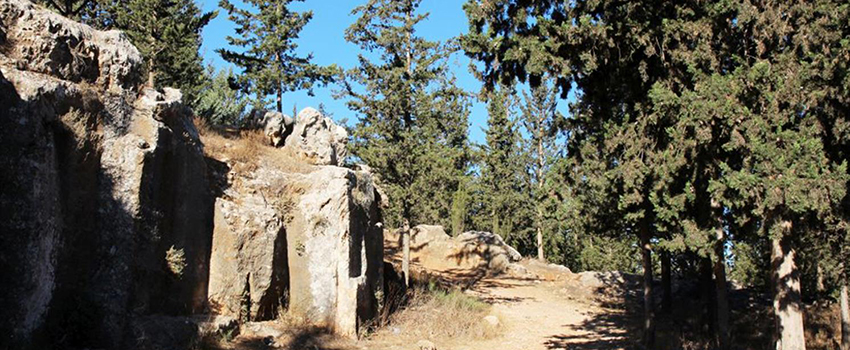 מחצבה עתיקה בנחל צופים שבפארק ירושלים. צילום: יעקב שקולניק