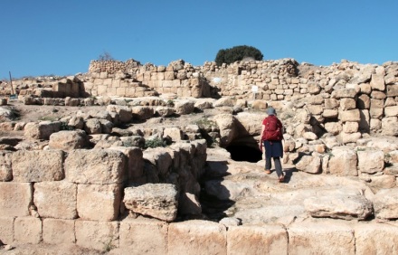 צילום: יעקב שקולניק, ארכיון הצילומים של קקל