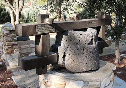 ריחיים של חמור. צילום: יעקב שקולניק, ארכיון הצילומים של קק"ל