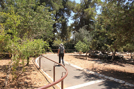 מטייל בשביל לקויי ראייה ועיוורים ביער בן שמן. צילום: יעקב שקולניק, ארכיון הצילומים של קק"ל