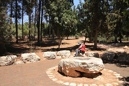 פינת ישיבה לאורך השביל. צילום: יעקב שקולניק, ארכיון הצילומים של קק"ל