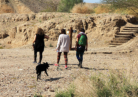 מטיילים בפארק הולנד. צילום: יעקב שקולניק, ארכיון הצילומים של קקל