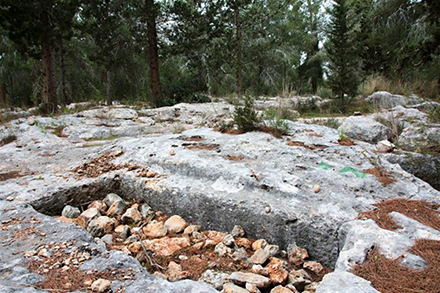 קבר מהתקופה הרומית, דומה לקברות המכבים. צילום: יעקב שקולניק, ארכיון הצילומים של קק"ל