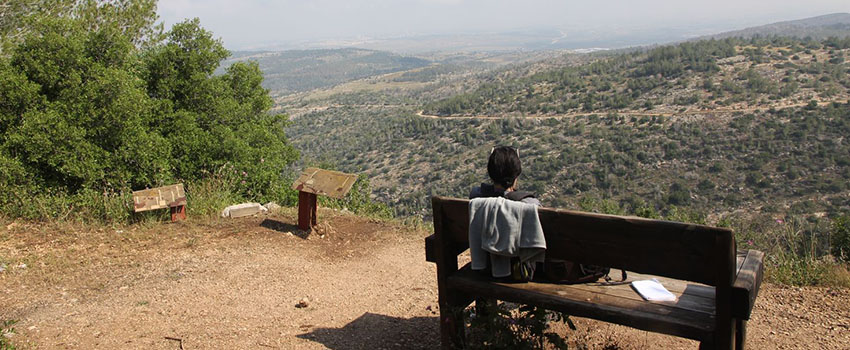 ספסל תצפית בראש משלט 21. צילום: יעקב שקולניק, ארכיון הצילומים של קק"ל
