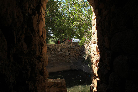 עין ביכורה. צילום: יעקב שקולניק, ארכיון הצילומים של קק"ל