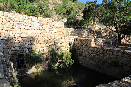 ין סטף. צילום: יעקב שקולניק, ארכיון הצילומים של קק"ל