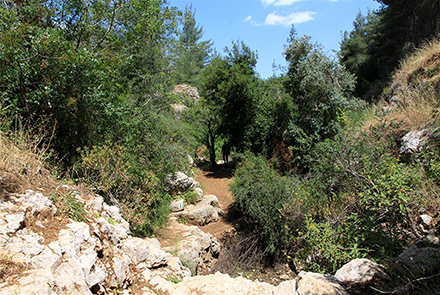 ואדי יוסף המוביל לעין חנדק. צילום: יעקב שקולניק, ארכיון הצילומים של קק"