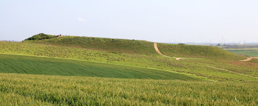 תל נגילה והמרחבים שסובבים אותו. צילום: יעקב שקולניק, ארכיון הצילומים של קק"ל