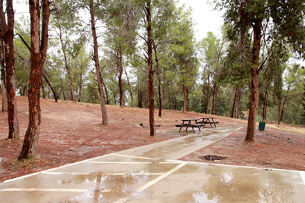 שולחנות נגישים בחורשה ליד מאגר פורה. צילום: יעקב שקולניק, ארכיון הצילומים של קק"ל