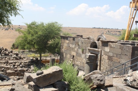 צילום: נעם תמיר