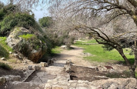 צילום: יעקב שקולניק, ארכיון הצילומים של קקל