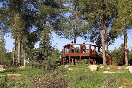 צילום: יעקב שקולניק, ארכיון הצילומים של קקל