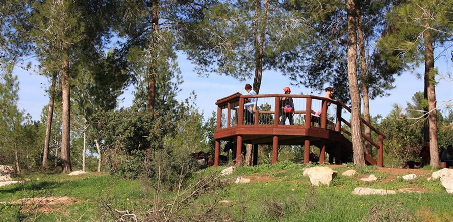 מרפסות תצפית והדרכה ביער בן שמן. צילום: יעקב שקולניק, ארכיון הצילומים של קקל