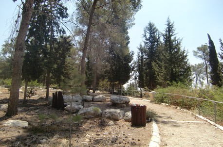 שבילים מסבירי פנים לעוורים. צילום: ארכיון קק"ל