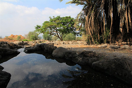 אל תוותרו על שכשוך בעין עקוב. צילום: יעקב שקולניק