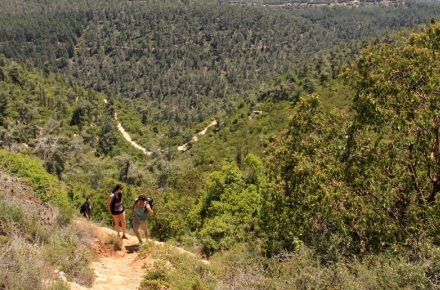 צילום: יעקב שקולניק, ארכיון הצילומים של קקל
