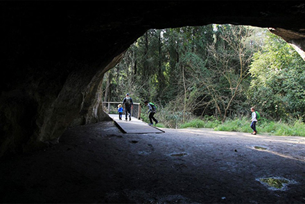 מבט מהמערה החוצה. צילום: יעקב שקולניק, ארכיון הצילומים של קקל