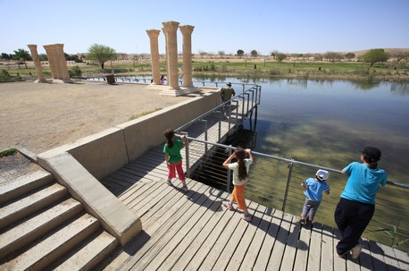 פארק ואגם ירוחם. צילום: אבי הירשפלד, ארכיון הצילומים של קק''ל