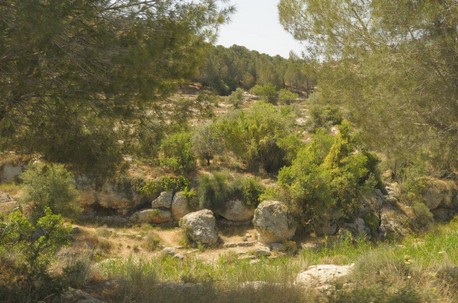 פינה בפארק. צילום: גיא אסייג