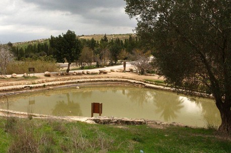 הבריכה בפארק קנדה. צילום: ארכיון הצילומים של קקל