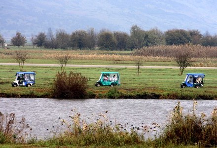 צילום: דרור ארצי, ארכיון הצילומים של קקל