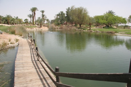 האגם בפארק ספיר. צילום: בני גמליאלי