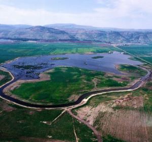החולה: מבט מלמעלה. צילום: אלבטרוס