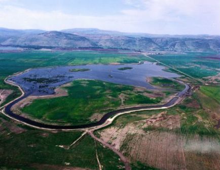 החולה: מבט מלמעלה. צילום: אלבטרוס