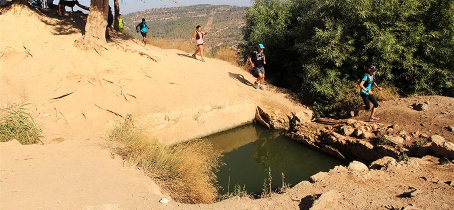 שני מעיינות באחד, עיינות עוזי. צילום: יעקב שקולניק, ארכיון הצילומים של קקל