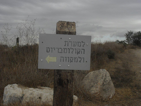 צילום: בת-חן בן-עמי סונין