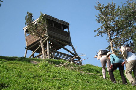 תל-שימרון. צילום: פנינה לבני