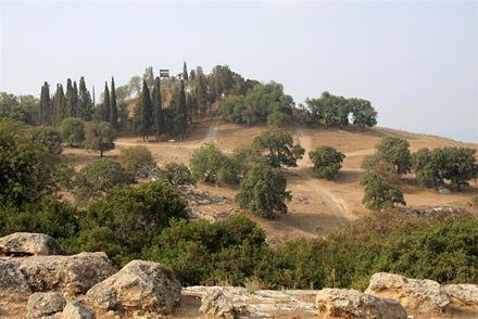 צילום: יעקב שקולניק, ארכיון הצילומים של קקל