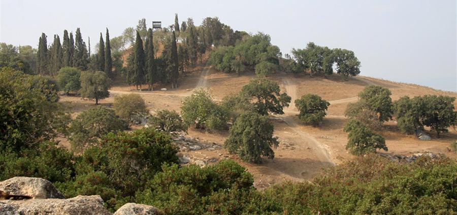 תל שימרון. צילום: יעקב שקולניק, ארכיון הצילומים של קקל