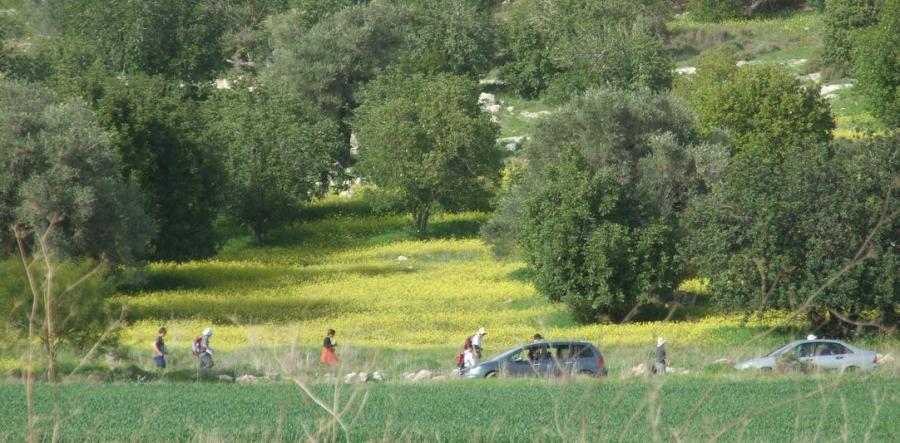 פארק עדולם-צרפת, ירוק ויפהפה. צילום: מירה חן, ארכיון הצילומים של קקל