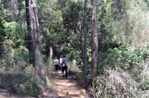 בשבילי חורש צוק מנרה. צילום: רונית סבירסקי