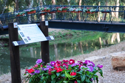 בריכת משכנה. צילום: אסי איוס, ארכיון הצילומים של קקל