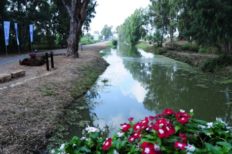 פינת חמד אמיתית: נחל נעמן המשוקם. צילום: אסי איוס