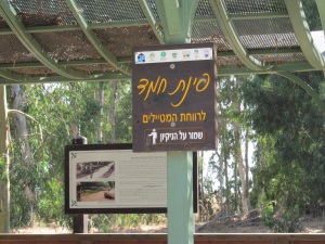 נחל נעמן. צילום: פנינה לבנון