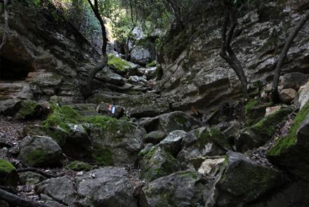 מפל המדרגות. לא רואה אור שמש. צילום: יעקב שקולניק, ארכיון הצילומים של קקל