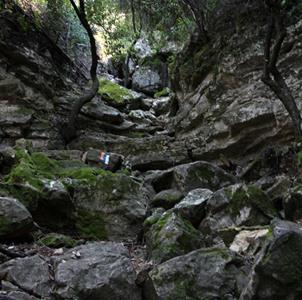 מפל המדרגות. לא רואה אור שמש. צילום: יעקב שקולניק, ארכיון הצילומים של קקל