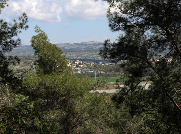 נוף בקעת מהרל והכרמל הגבוה. צילום: יעקב שקולניק