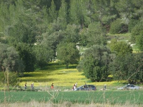 פארק עדולם-צרפת, ירוק ויפהפה. צילום: מירה חן, ארכיון קקל