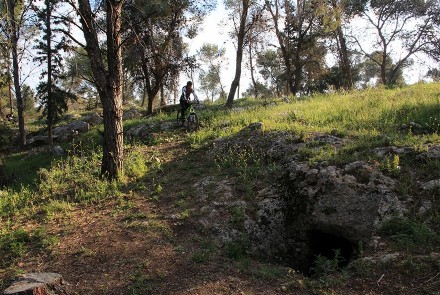 צילום: יעקב שקולניק, ארכיון הצילומים של קקל