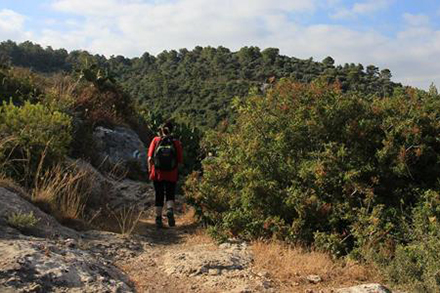 מטיילת בשביל שלוחת איילה בכרמל. צילום: יעקב שקולניק, ארכיון הצילומים של קק"ל