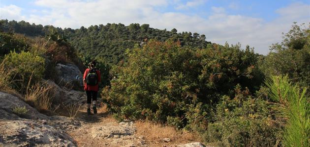 שביל שלוחת איילה. צילום: יעקב שקולניק