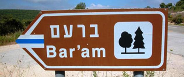 רואים את השלט? מצוין, תפנו ותיהנו. צילום: יעקב שקולניק