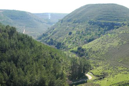 צילום: אבי הירשפלד, ארכיון הצילומים של קקל