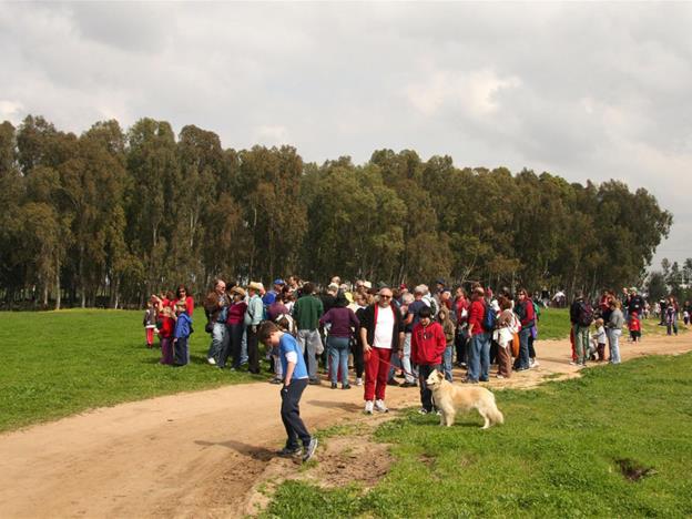 מטיילים ביער. צילום: יעקב שקולניק