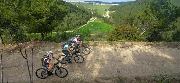שביל עין השופט-הזורע: רכיבה בנוף ירוק. צילום: אילן שחם