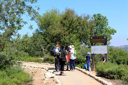 מטיילים בשביל נופי נחל קטלב. צילום: יעקב שקולניק, ארכיון הצילומים של קק"ל